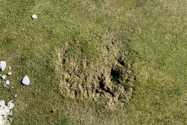 Divots in the green after ice fall
