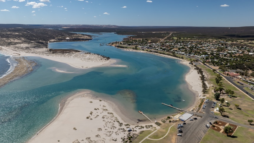 Aerial view over rivermouth and foreshore lined with trees