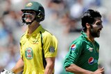 Mohammad Amir celebrates Mitch Marsh's wicket