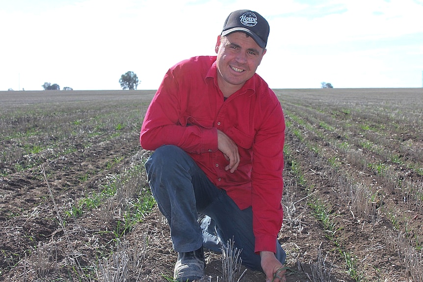 Brad Jackson kneels down in a paddock with a struggling winter crop.