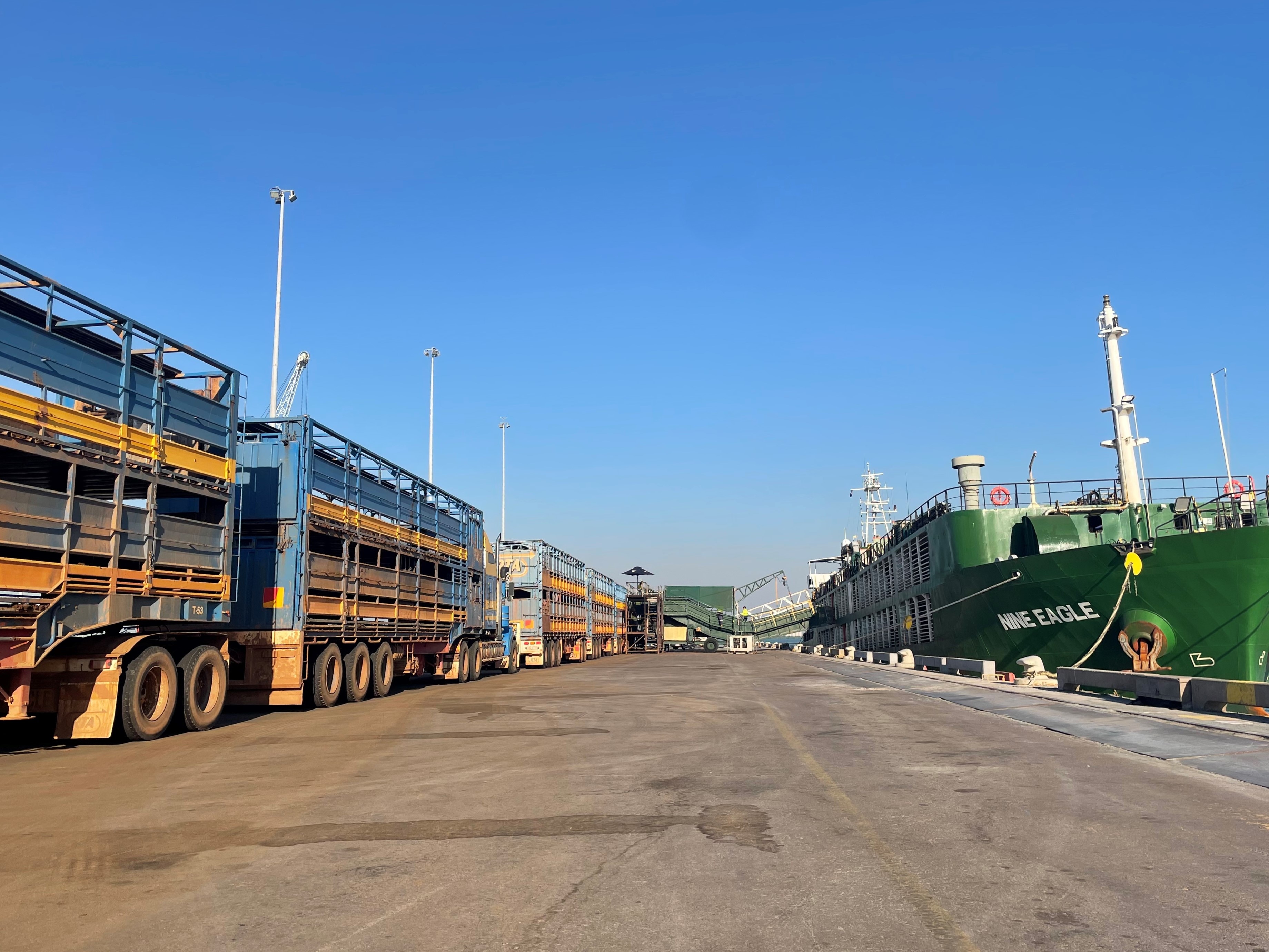Live export ship Nine Eagle leaves Darwin with cattle…