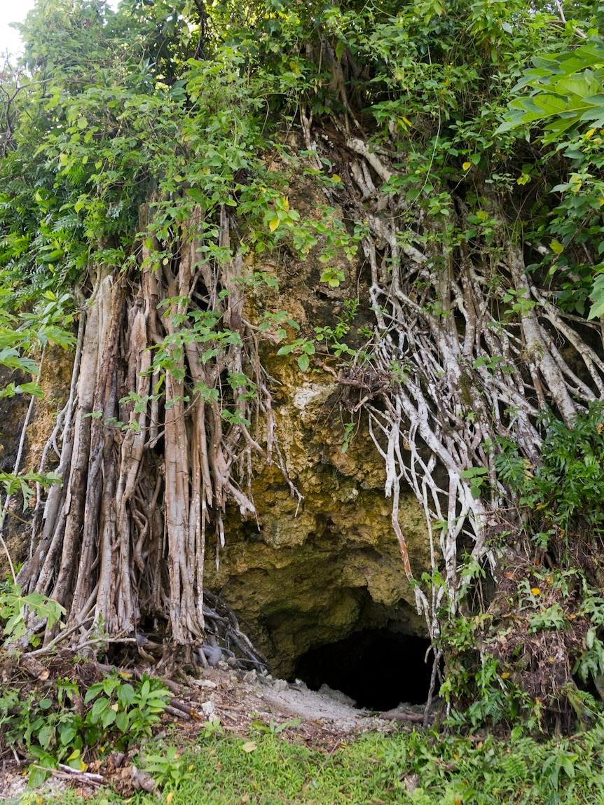 Palau caves to be reopened