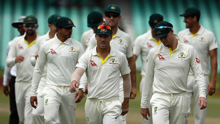 Australia's David Warner, in centre, leaves the field with teammates