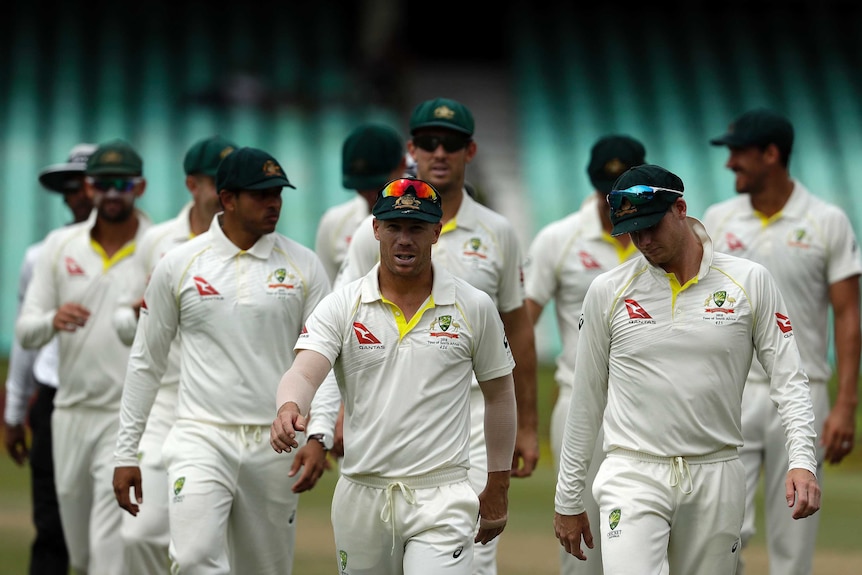 Australia's David Warner, in centre, leaves the field with teammates