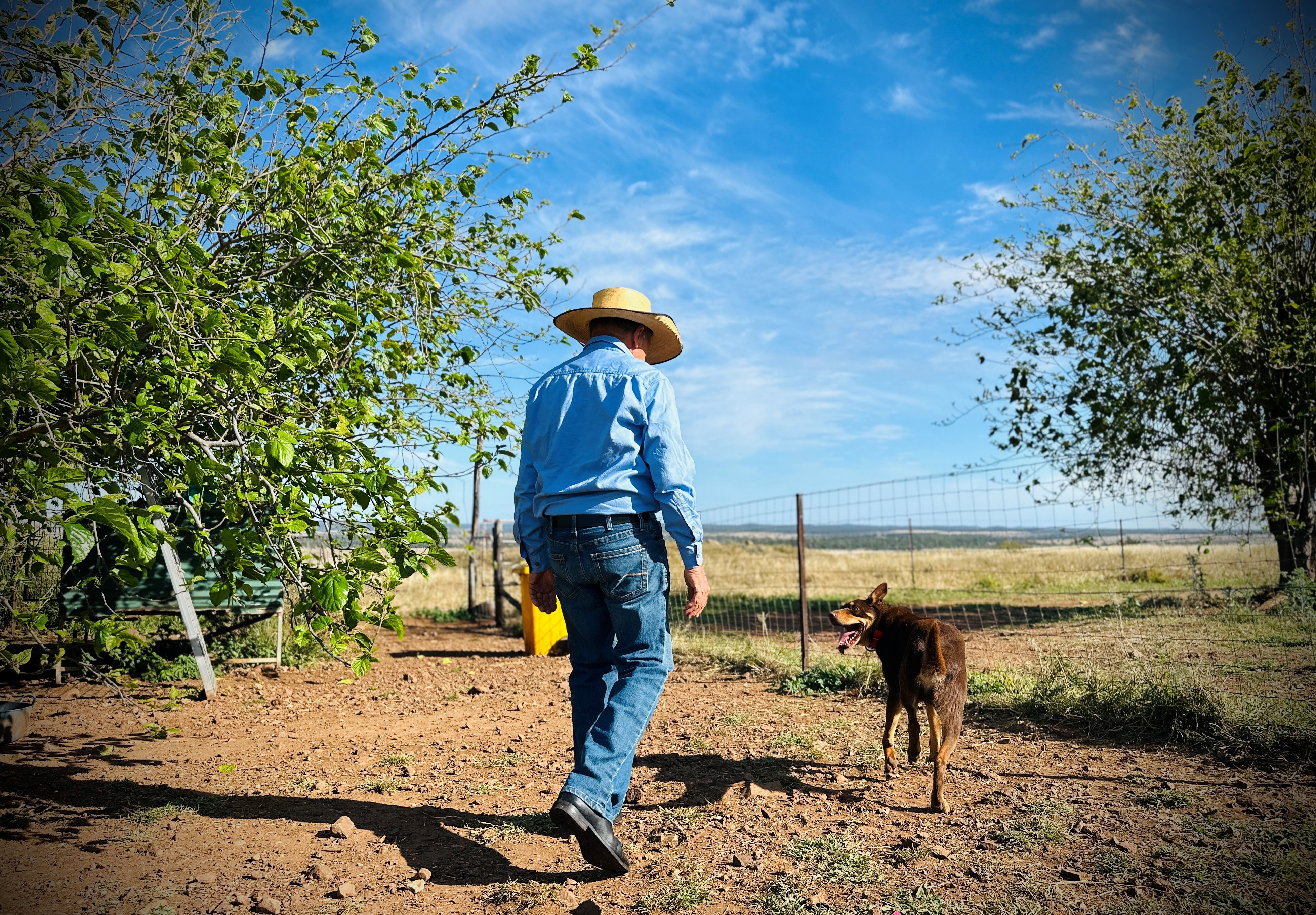 A man and working dog walking back to the gate.