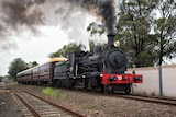 Steam trains will run alongside cyclists and walkers between Picton and Mittagong.