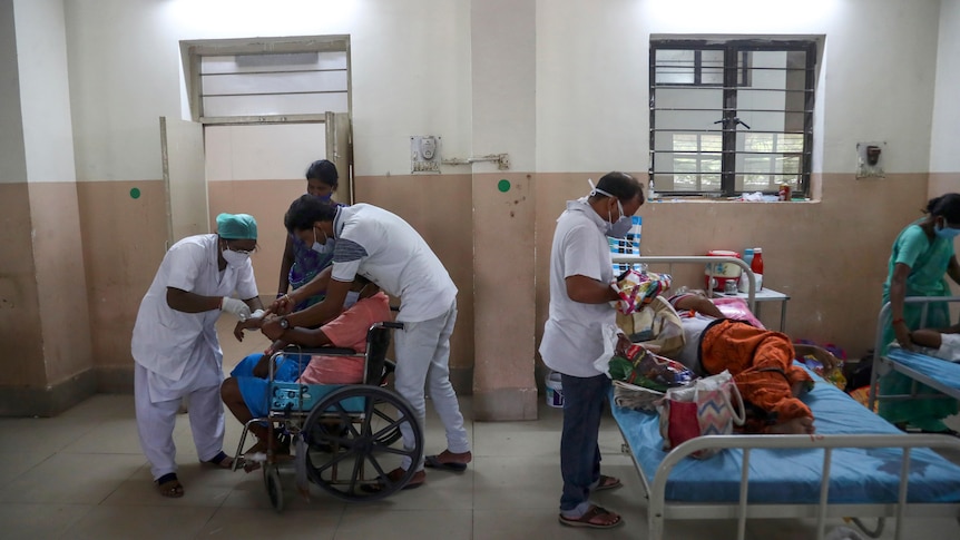 Indian health workers attend to patients infected with black fungus.