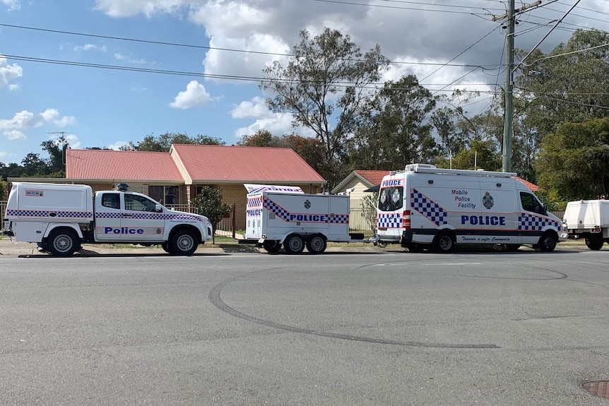 Police vehicles in the street near a house where a 24-year-old woman's body was found at Crestmead.