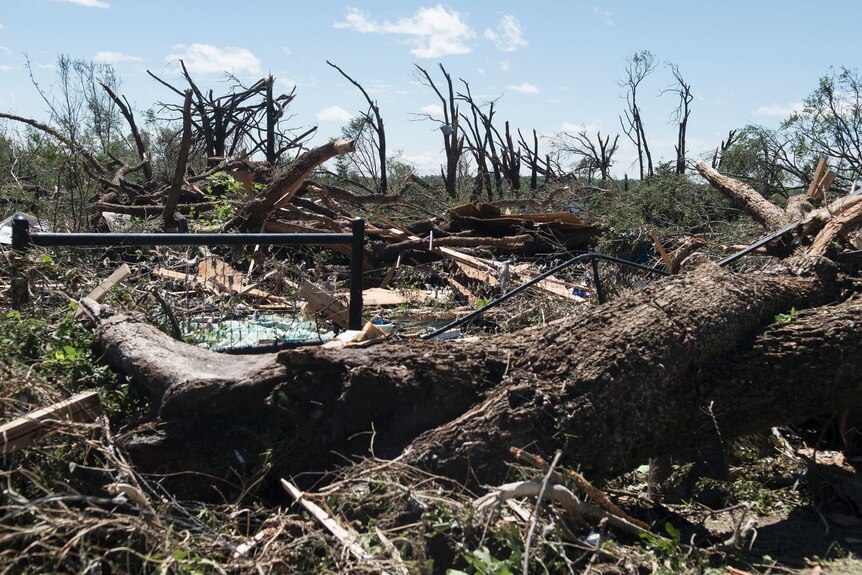 Fallen trees and debris cover the ground Sunday, April 30, 2017, in Canton, Texas.