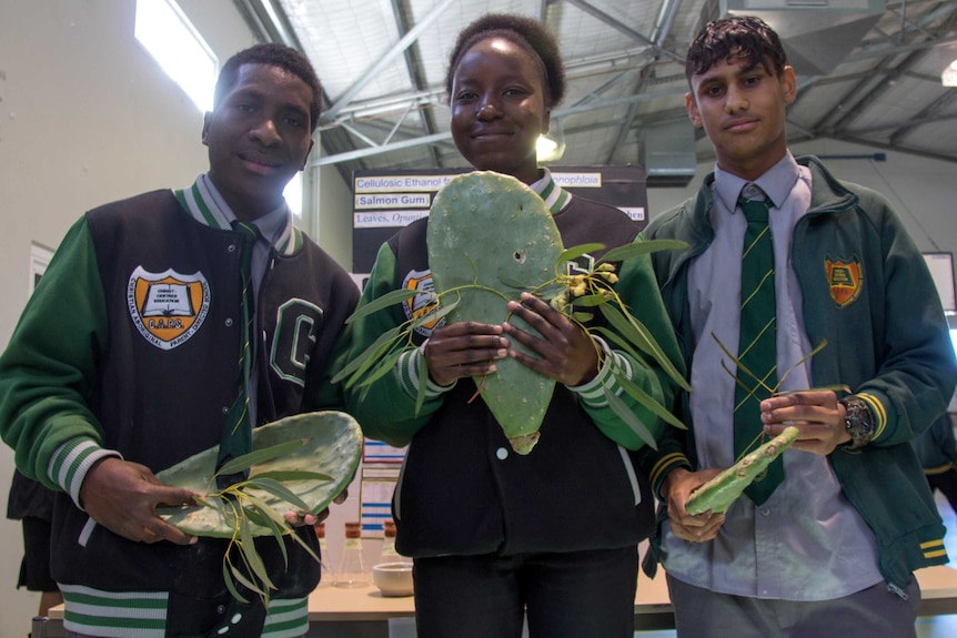 Three students hold up pieces of cactus and gum leaves.