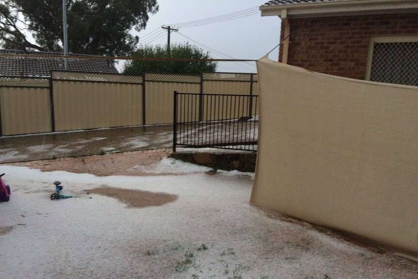 A backyard covered in hail.