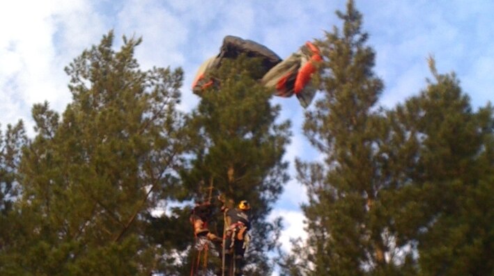 The hang glider was rescued from the tree-tops.