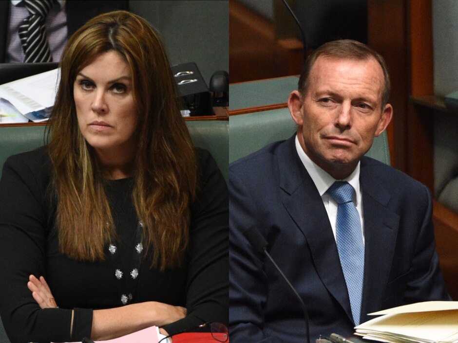 Abbott, Credlin And The Book That Could Hurt The Coalition - ABC News