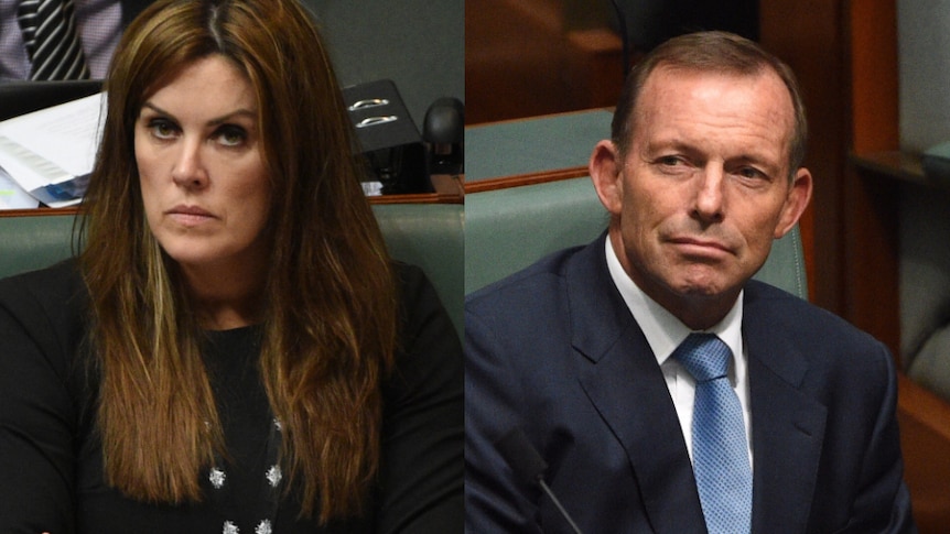 Peta Credlin and Tony Abbott look serious in side-by-side composite image