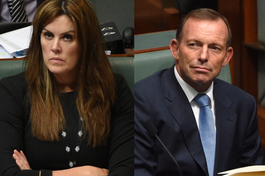Peta Credlin and Tony Abbott look serious in side-by-side composite image