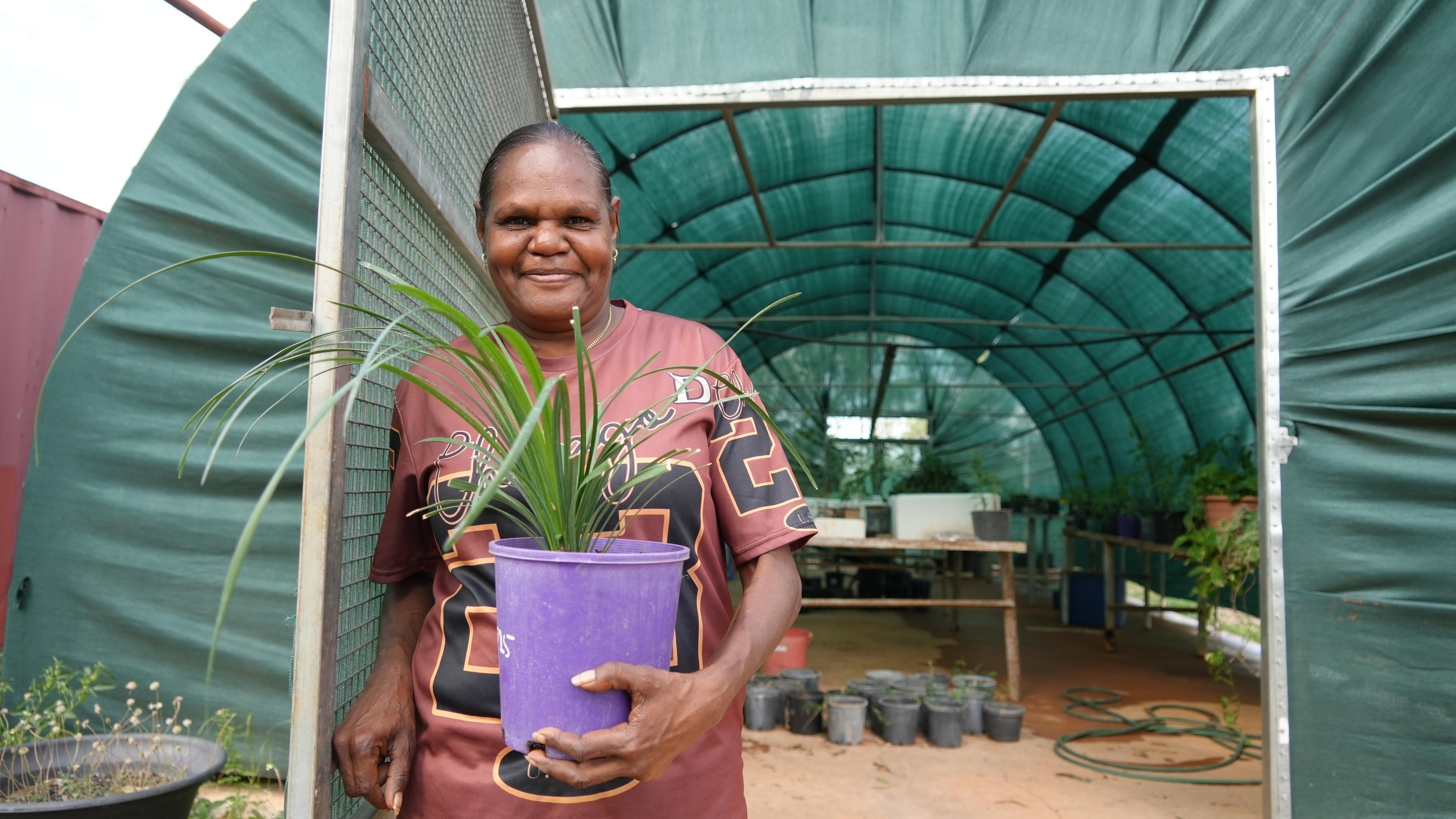 Tree planting project creates jobs for the future in Tennant Creek
