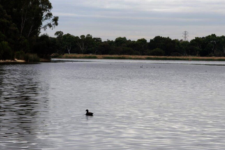 Beeliar Wetlands