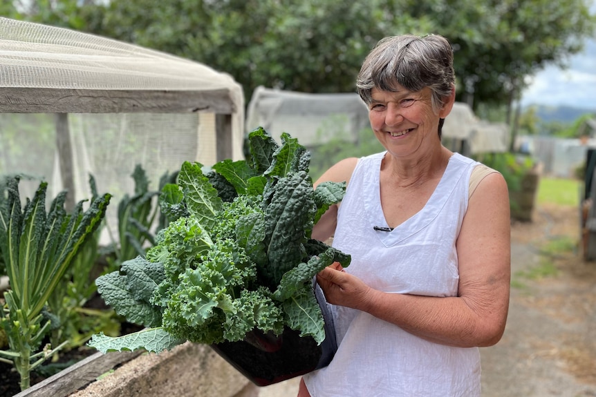 An older woman stands at a garden holding a tub of fresh leafy green vegetables.