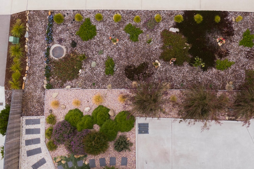 A top-down view of a garden planted along a nature strip by the side of a road.