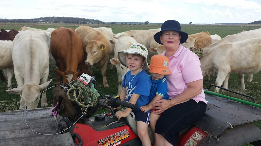 Dianne Priddle with grandsons Bailey and Ashton Phillott feeding the heifers.