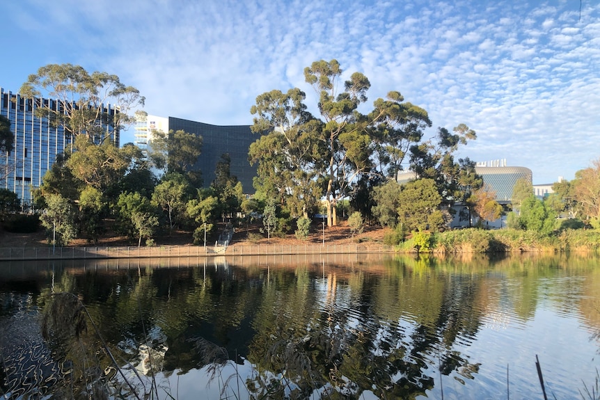 A river runs in front of a number of large buildings, with trees lining the bank