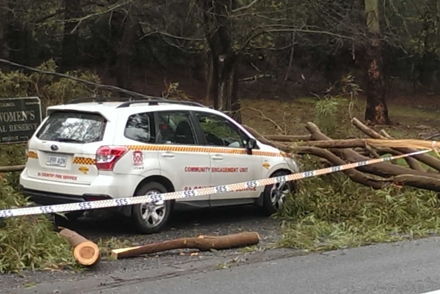 CFS vehicle hit by falling tree at Aldgate