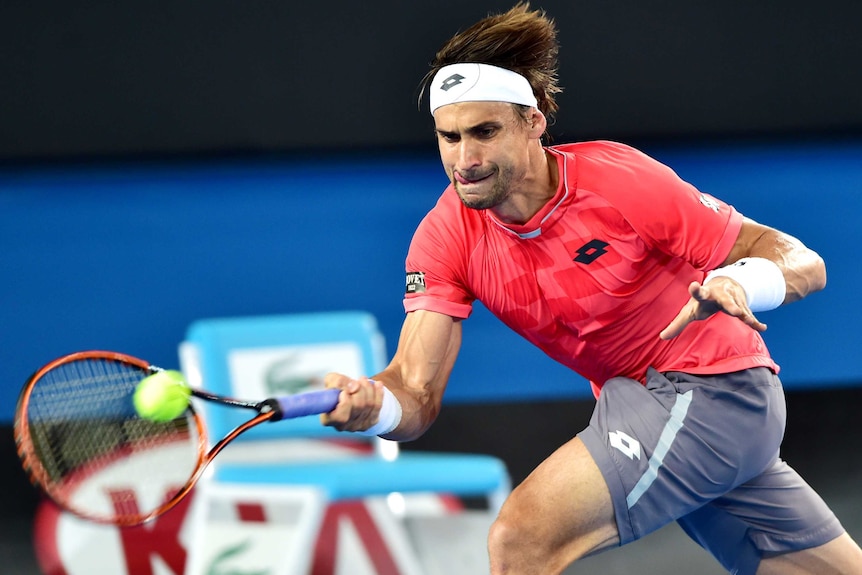 Ferrer hits back at Simon