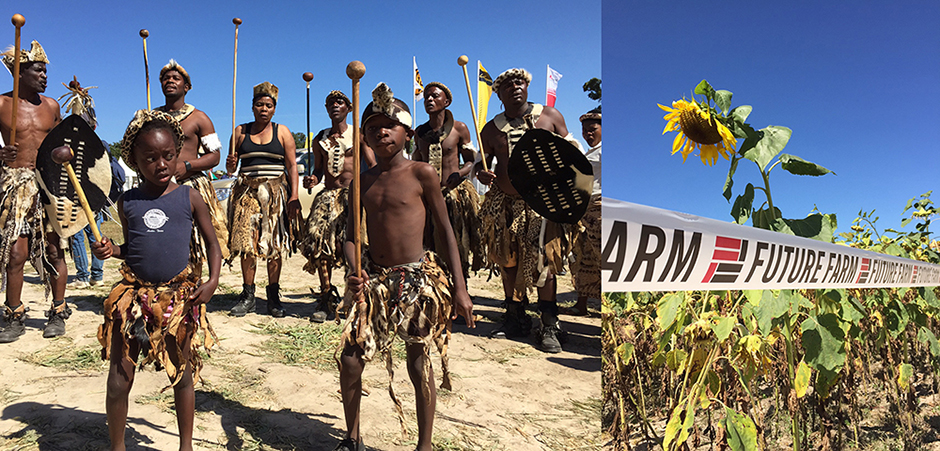 Dancers in traditional Zambian garb standing on dry ground, and a field of sunflowers with a 'Future Farm' banner in front.