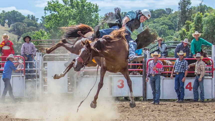 A rider is about to be thrown from his bucking horse during the Tarcutta rodeo.
