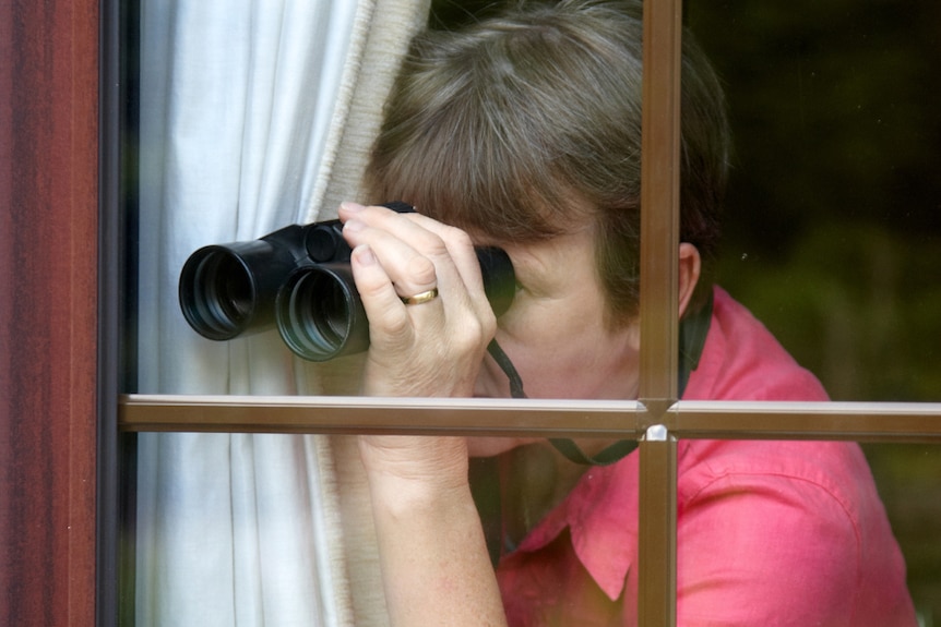 A woman with short brown hair and wearing a pink shirt peers through binoculars out of her window.