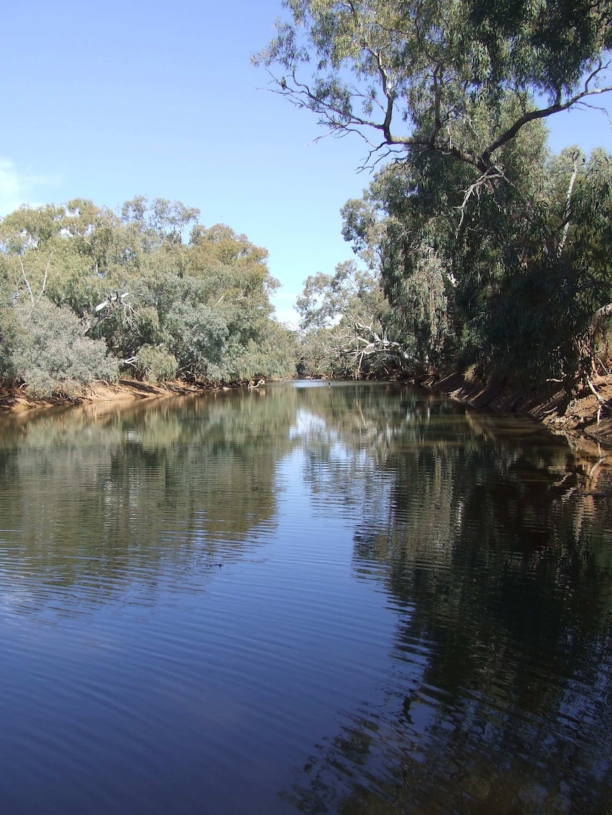 A river on Evelyn Downs Station north of Coober Pedy