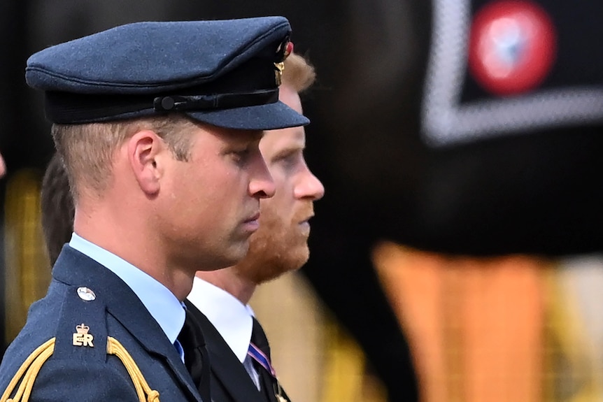 Prince William and Prince Harry march behind Queen Elizabeth II's coffin