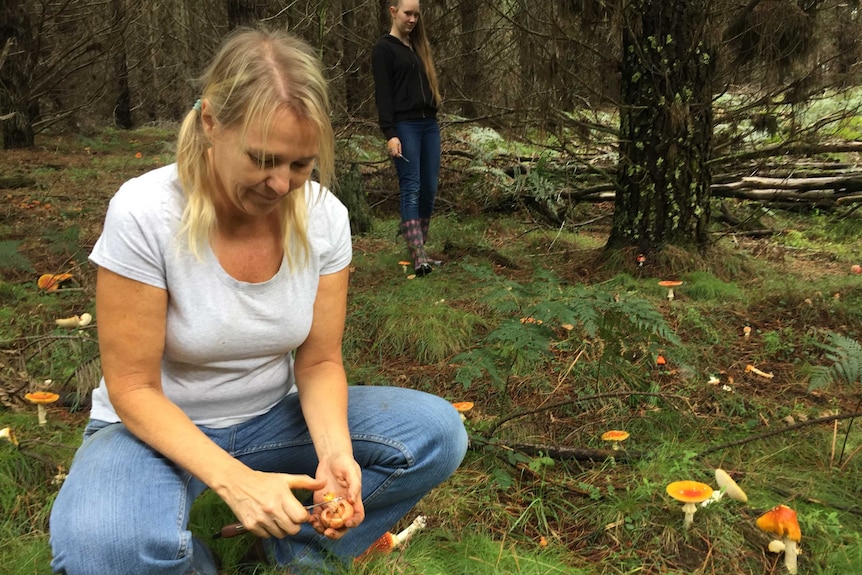Virginiaja Cox mushroom foraging in Oberon
