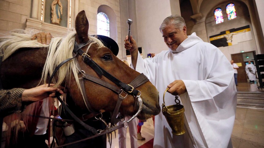 Mass for animals in France.