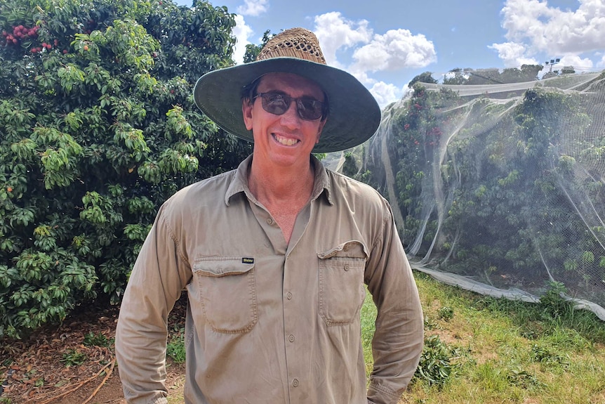 lychee farmer standing in front of trees with netting