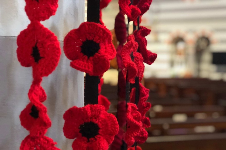 Geraldton Poppy Project