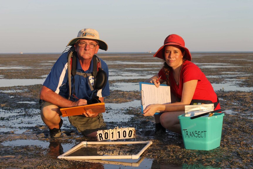 kevin and smith and Fi west crouching down in the seagrass of Broome's roebuck bay with their monitoring equipment