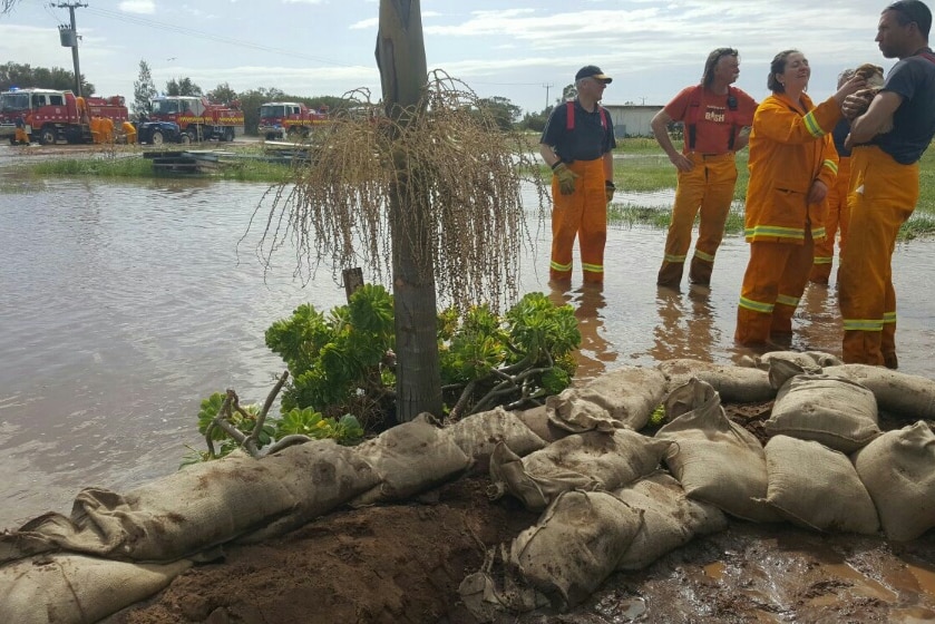 Flooded crops