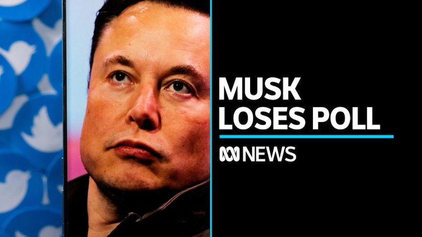 Twitter users vote in favour of Elon Musk stepping down - ABC News