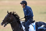 Fame Game does trackwork for the Melbourne Cup at Werribee