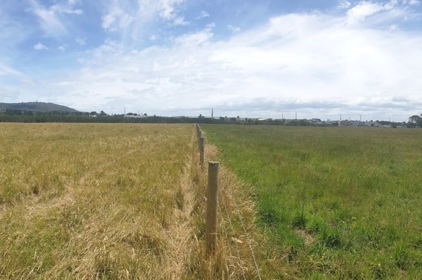 Two farms divided by a fence, the farm on the right has a richer green than the farm on the left.