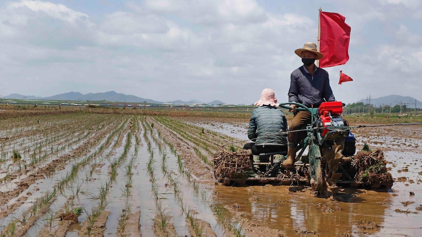 A man sits on a machine in a field covered in water