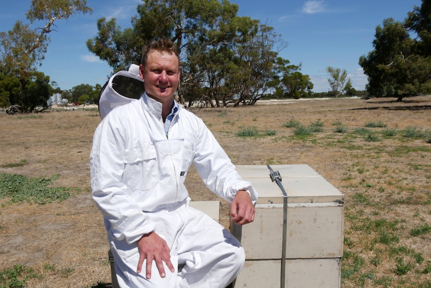 A man in a white bee suit sits on a closed bee hive, with his arm resting on another one.