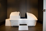 A sensory deprivation tank sits in the centre of an empty room at a 'rest and relaxation centre' in Canberra.
