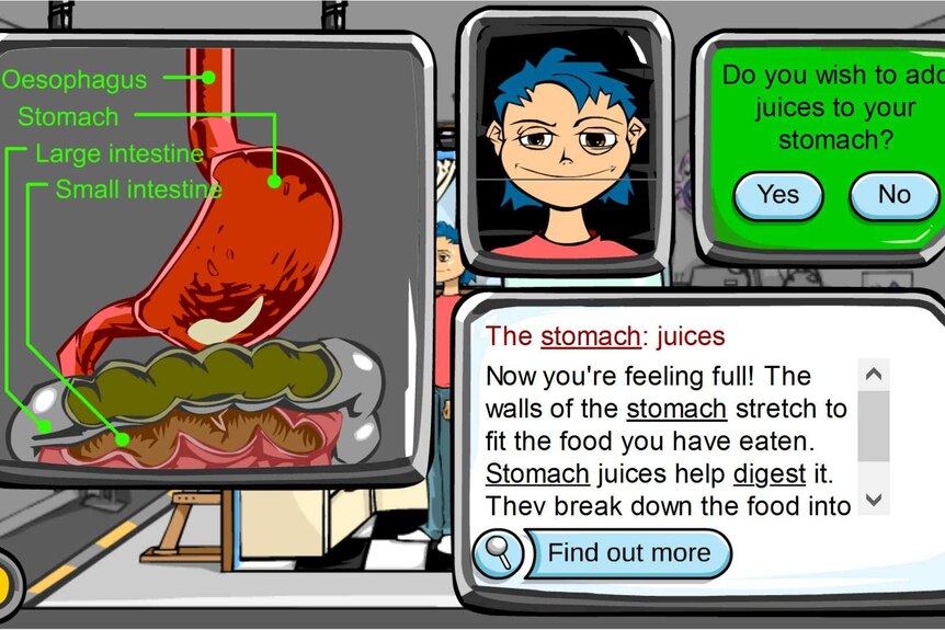 A digital illustration of the stomach with labelled parts: the oesophagus, stomach, large intestine and small intestine.