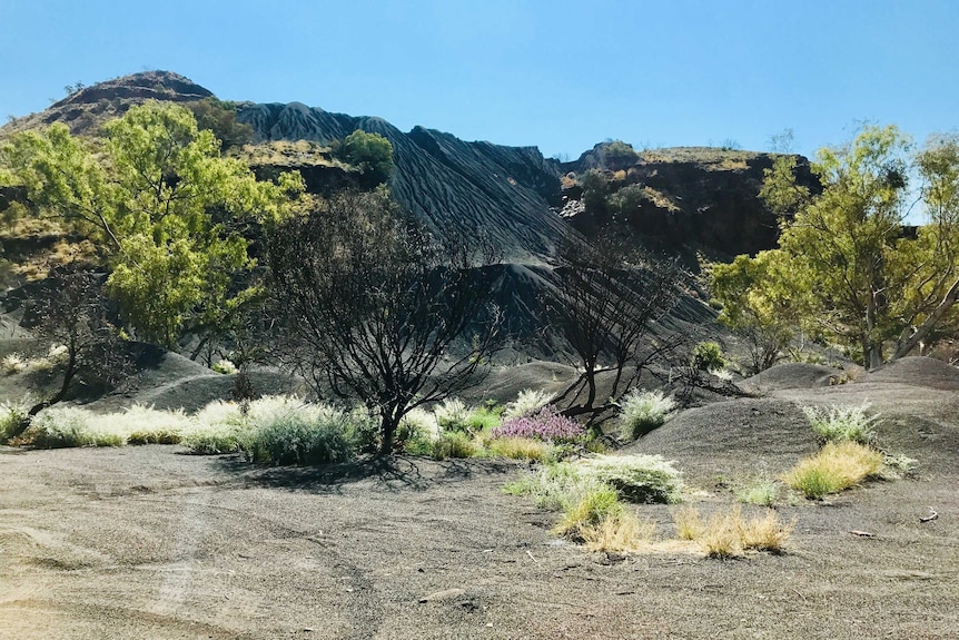 Asbestos tailings stream down the side of Wittenoom Gorge, 2018.