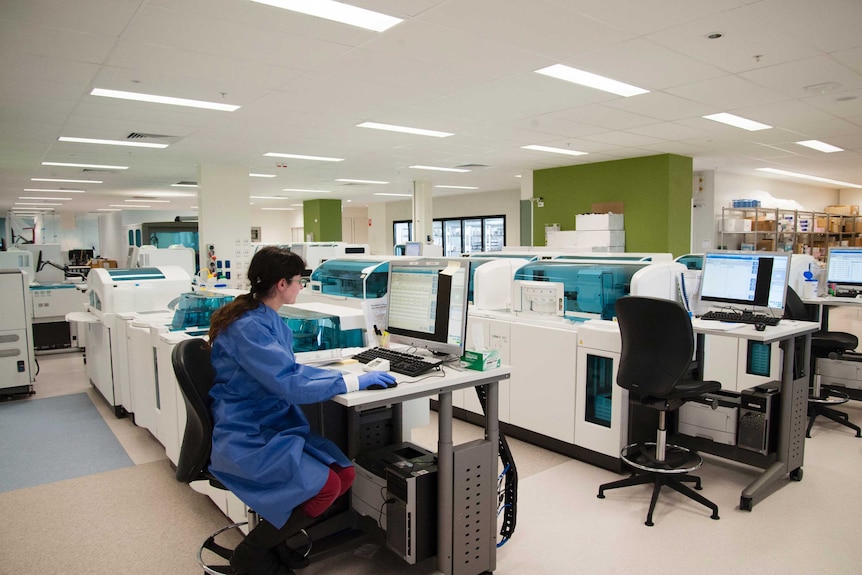 A lab technician works at a computer in a pathology lab.