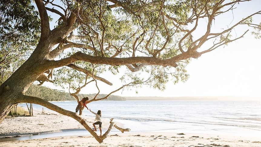 Two girls climb a tree by the beach