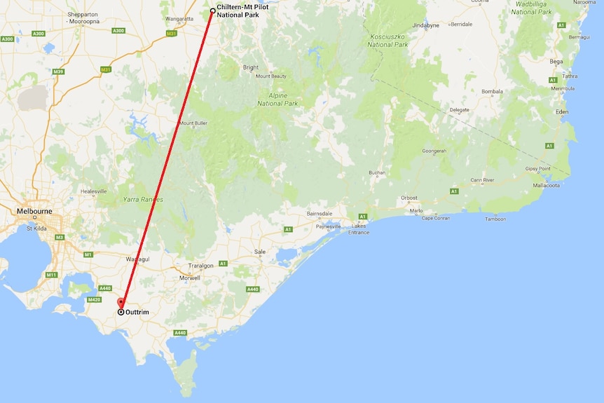 A map showing the distance between Chiltern-Mt Pilot National Park and Outtrim