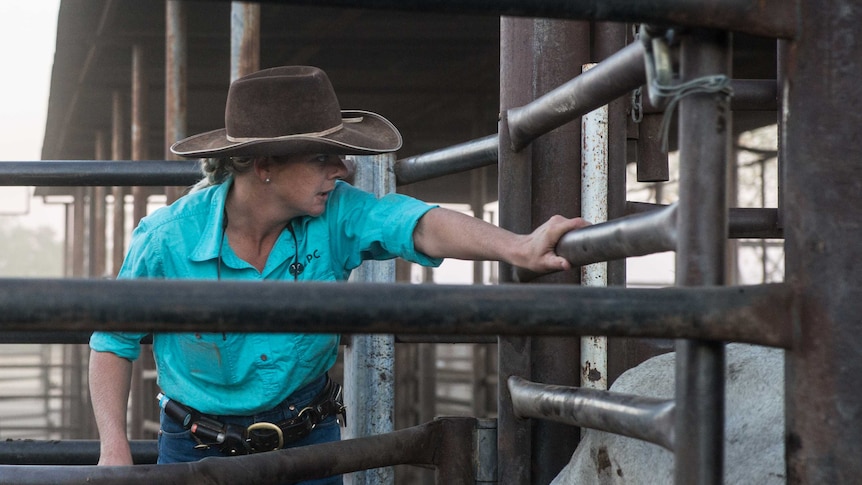 Emily Bryant drafts cattle in the yards at Auvergne Station.